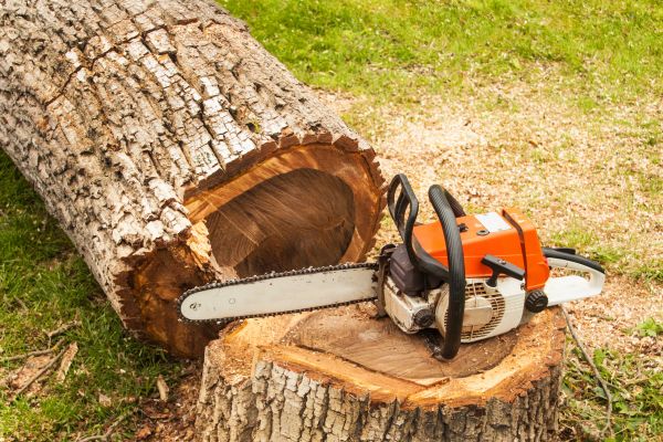 Tree Cutting Service in Lawrenceville